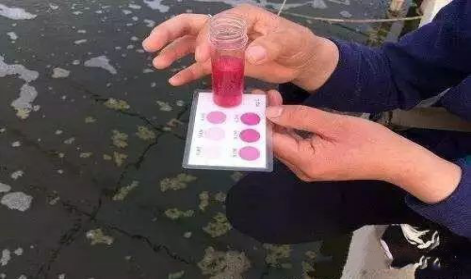 湖南全力邦生物科技有限公司,湖南养殖技术服务,湖南水产养殖投入品，湖南全力邦