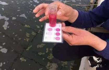 湖南全力邦生物科技有限公司,湖南养殖技术服务,湖南水产养殖投入品，湖南全力邦