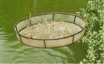 湖南全力邦生物科技有限公司,湖南养殖技术服务,湖南水产养殖投入品，湖南全力邦
