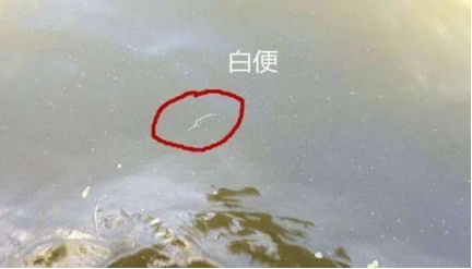 湖南全力邦生物科技有限公司,湖南养殖技术服务,湖南水产养殖投入品，湖南全力邦