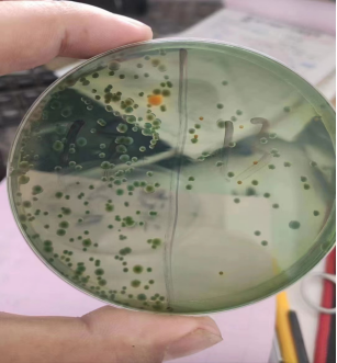 湖南全力邦生物科技有限公司,湖南养殖技术服务,湖南水产养殖投入品，湖南全力邦