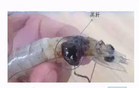 湖南全力邦生物科技有限公司,湖南养殖技术服务,湖南水产养殖投入品，湖南全力邦
