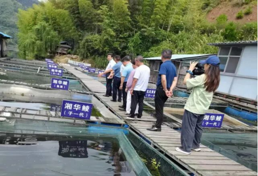 知识消息
