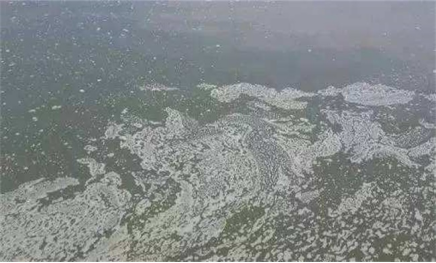 湖南全力邦生物科技有限公司,湖南养殖技术服务,湖南水产养殖投入品，湖南全力邦