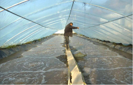 湖南全力邦生物科技有限公司,湖南养殖技术服务,湖南水产养殖投入品，湖南全力邦