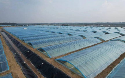 湖南全力邦生物科技有限公司,湖南养殖技术服务,湖南水产养殖投入品，湖南全力邦