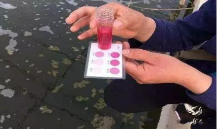湖南全力邦生物科技有限公司,湖南养殖技术服务,湖南水产养殖投入品，湖南全力邦