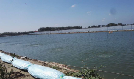 湖南全力邦生物科技有限公司,湖南养殖技术服务,湖南水产养殖投入品，湖南全力邦