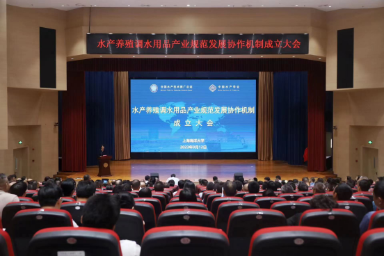 知识消息