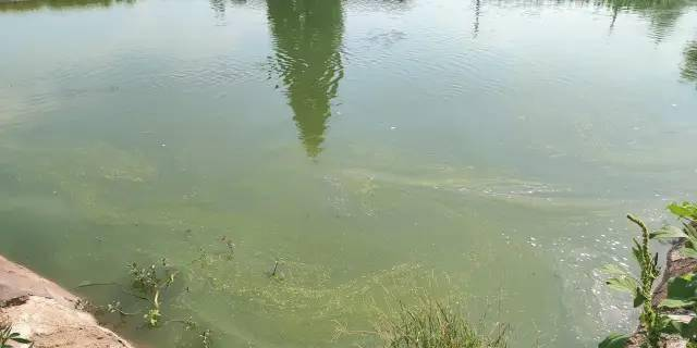湖南全力邦生物科技有限公司,湖南养殖技术服务,湖南水产养殖投入品，湖南全力邦