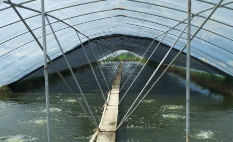 湖南全力邦生物科技有限公司,湖南养殖技术服务,湖南水产养殖投入品,湖南全力邦 湖南全力邦生物科技有限公司,湖南养殖技术服务,湖南水产养殖投入品,湖南全力邦