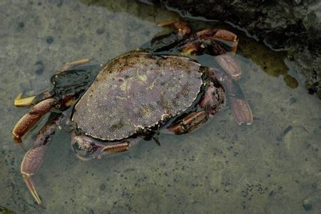 湖南全力邦生物科技有限公司,湖南养殖技术服务,湖南水产养殖投入品，湖南全力邦